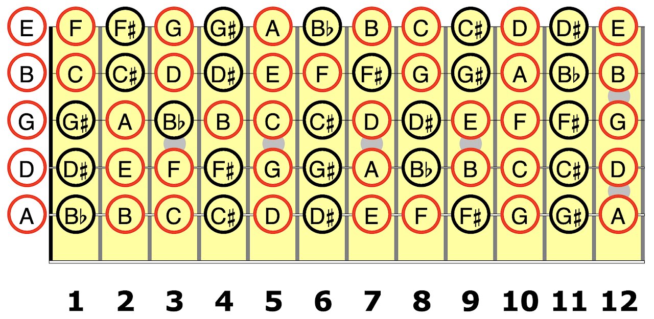 The 6th String for the Guitar Student