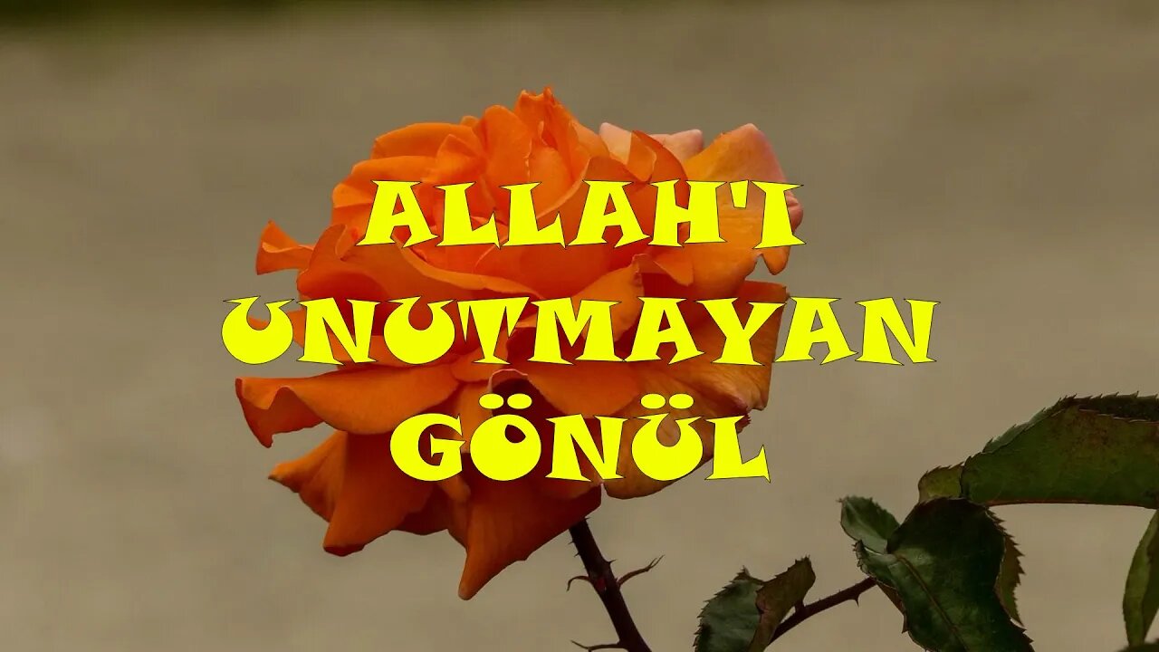 #menkıbe EN GÜZEL MENKIBELERDEN BİR BÖLÜM / "ALLAH'I UNUTMAYAN GÖNÜL."