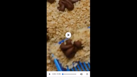 delicious Rice krispie treats made with chocolate that look like a little box isn't that delicious