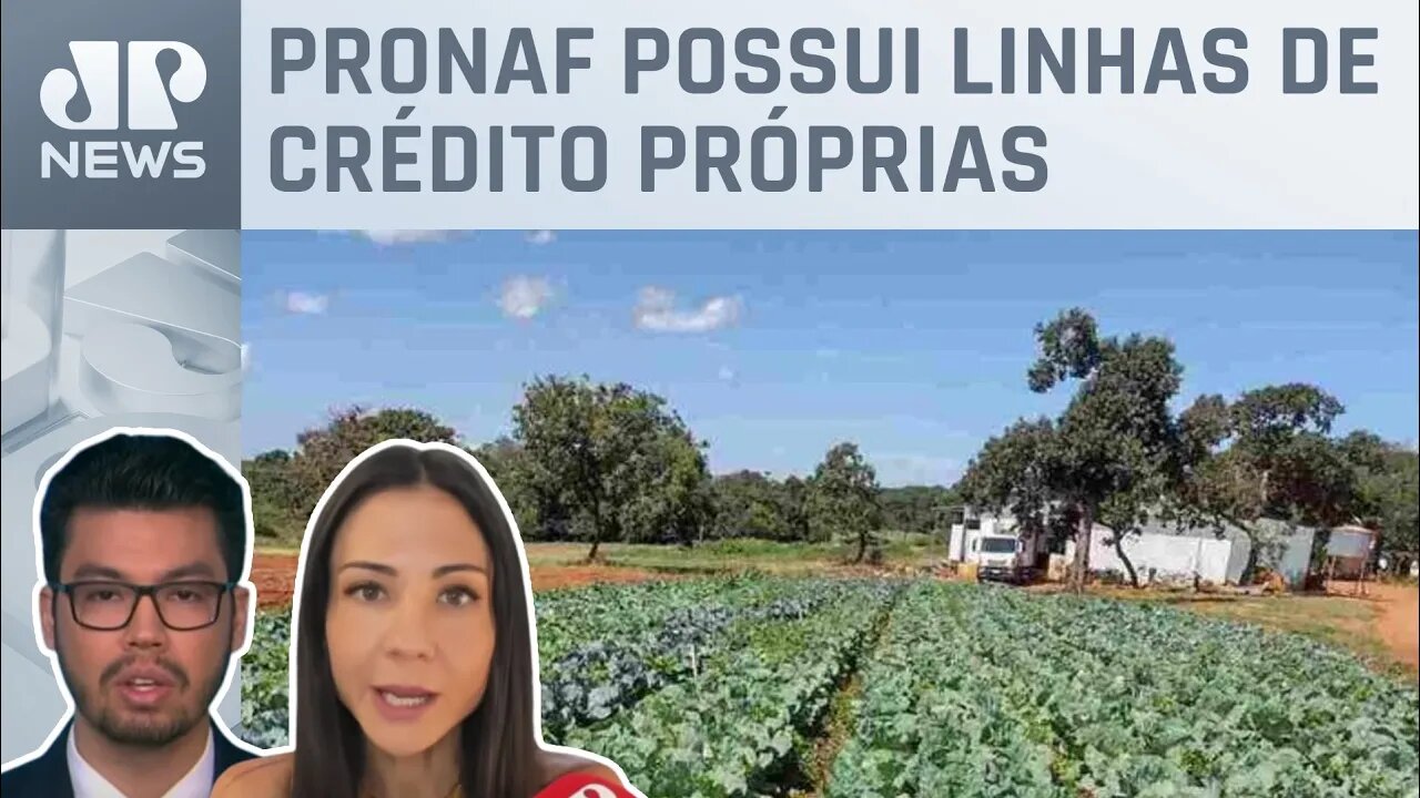 Governo anuncia R$ 77,7 bilhões para a agricultura familiar; Amanda Klein e Kobayashi analisam