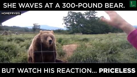 She Waves At 300-Pound Bear. But WATCH His Reaction…PRICELESS!