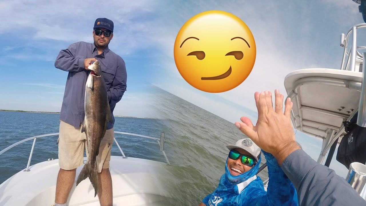 Virginia Cobia Fishing - Chesapeake Bay