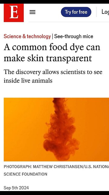 ⚠️⚠️⚠️ It’s Not The Bread That May Cause Your Gut Inflammation,