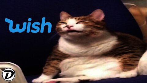 me when wish