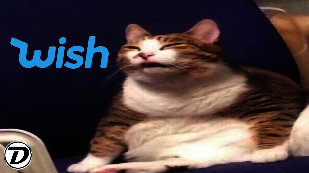 me when wish