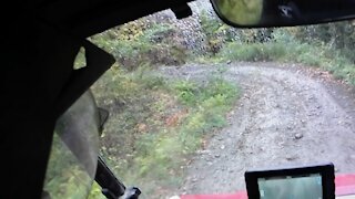 Moose Encounter On ATV Trail.