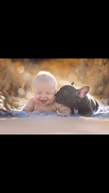 ✅ TIK TOK VIRAL DOG (2021) BABY DOGS 🐣