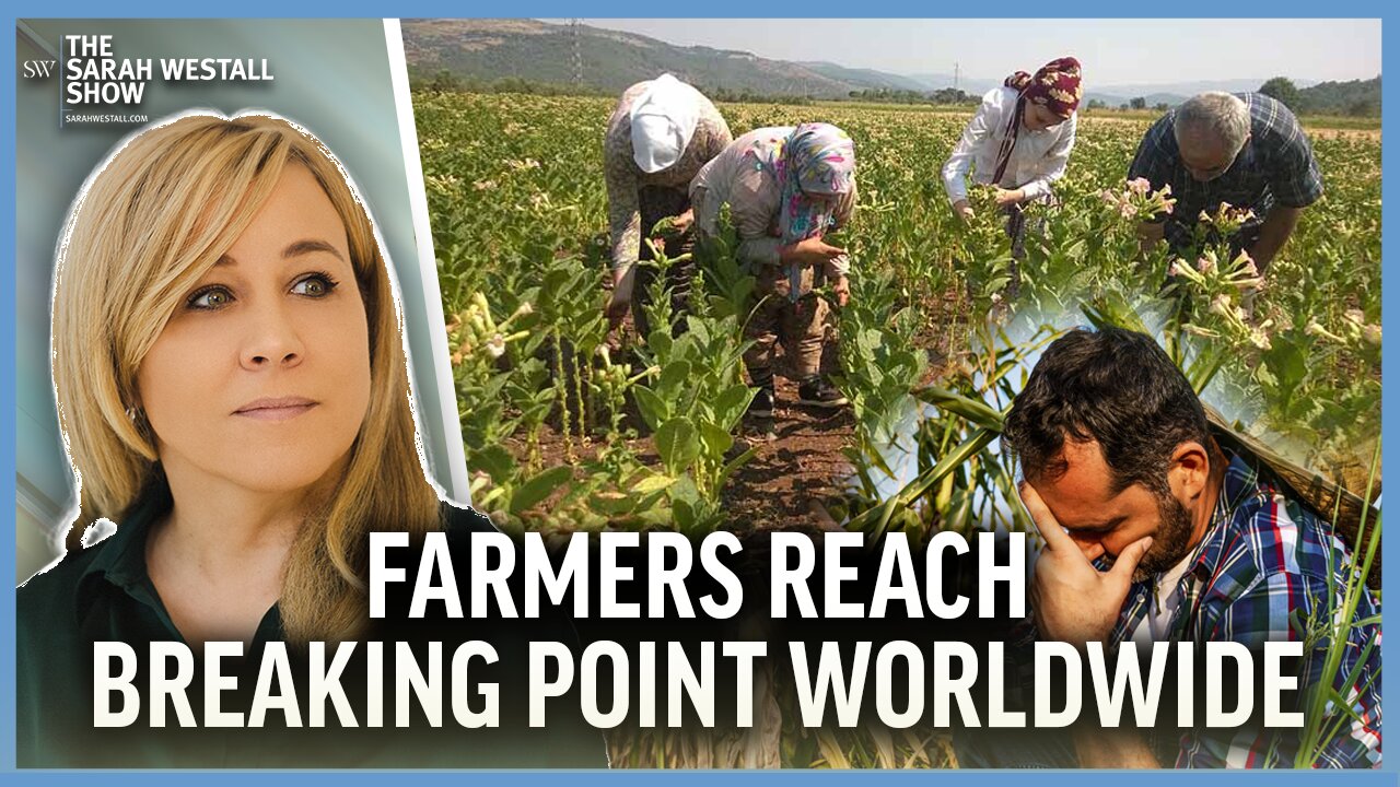 Surging Farmer Protests, Suicides High, Global Food Chain Under Attack w/ Marjory Wildcraft