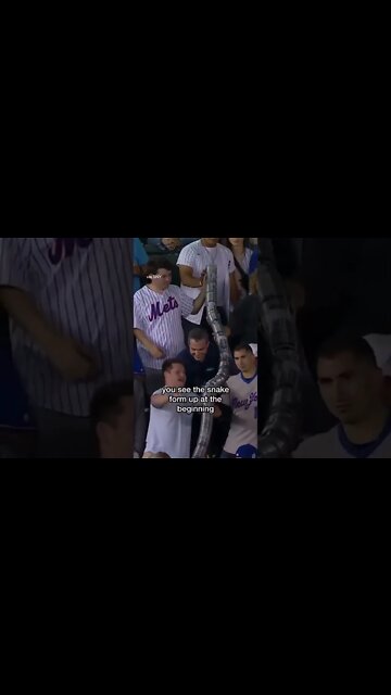 “Basically The 8th Steve”🤣⚾️