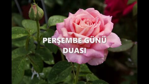 PERŞEMBE GÜNÜ DUASI