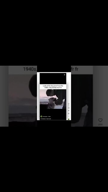 Is This Him? #memes #doglover #doglovers