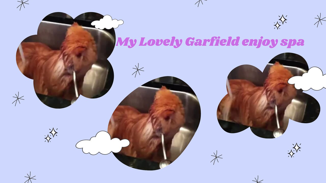 Lovely Garfield enjoy spa