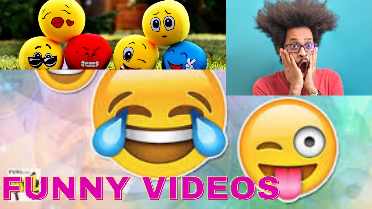 Funny videos