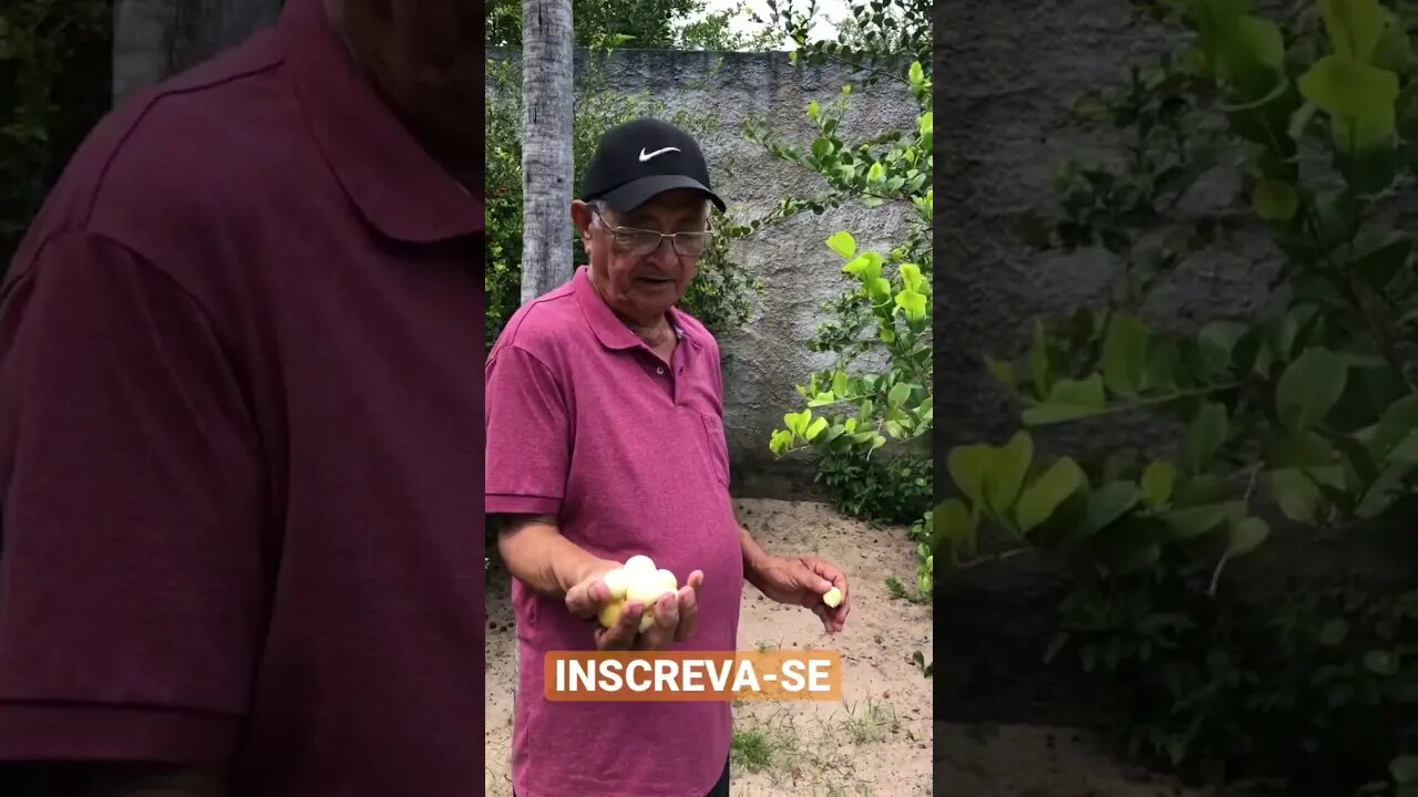 OLHA O QUE ELE ENCONTROU 😱😱😱