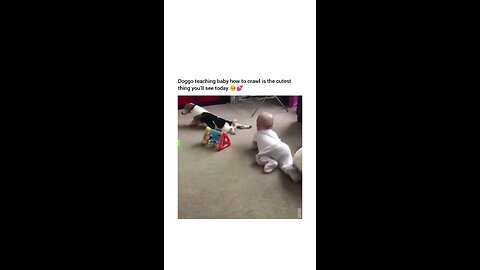 Pets & Kids
