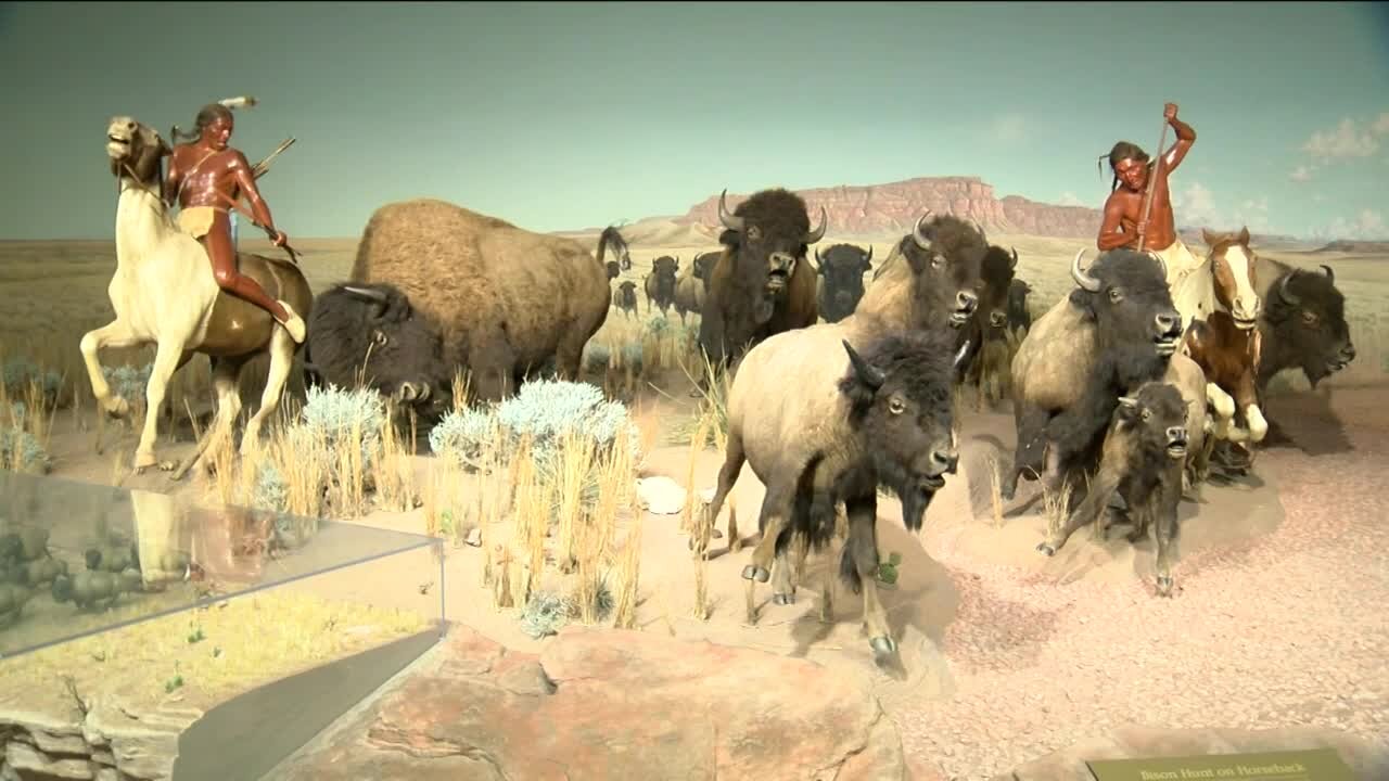 Several Milwaukee museums set to reopen this month