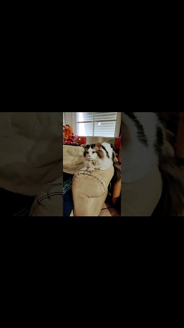 Esfinge Lil-Rom enigma do Minotauro