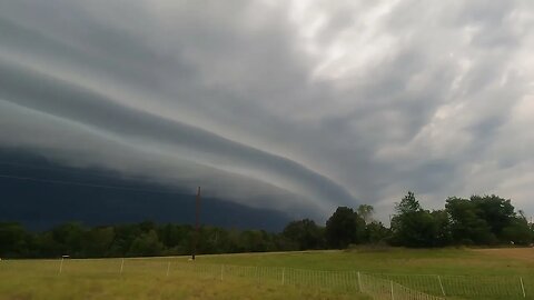 Shelf cloud incoming. Checking on the sheep before the storm.