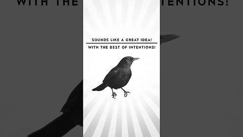 Unintended consequences: Birds on campus