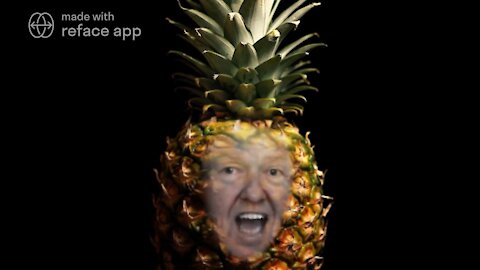 The Ultimate Donald Trump Meme! 🍍