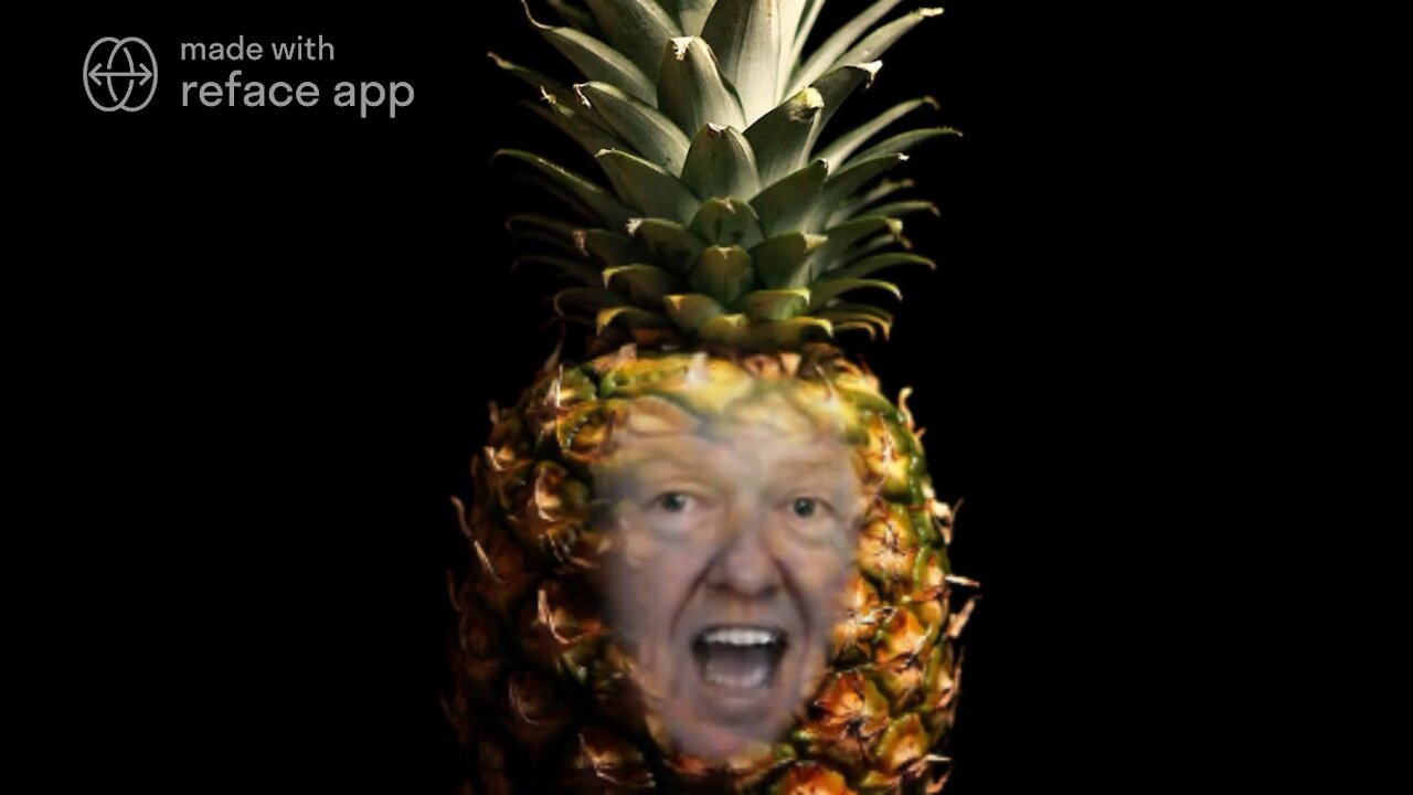 The Ultimate Donald Trump Meme! 🍍