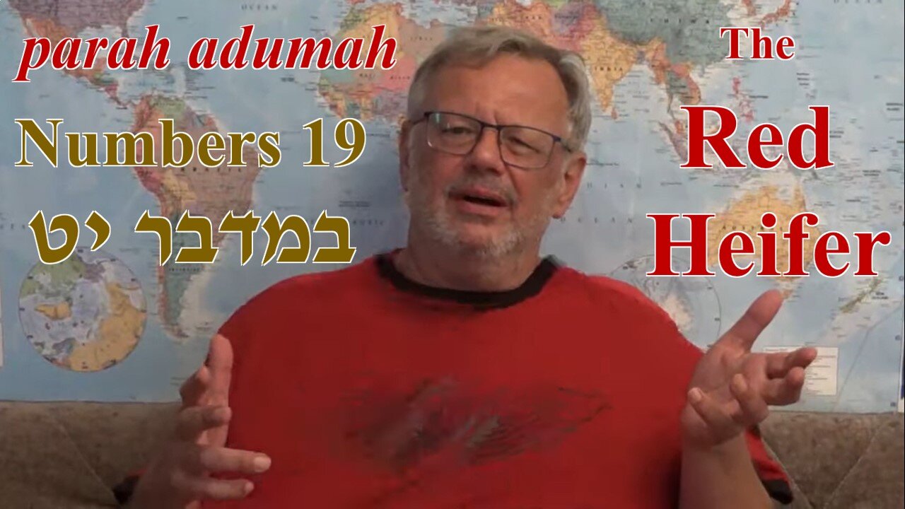 The Red Heifer — Numbers 19 במדבר יט