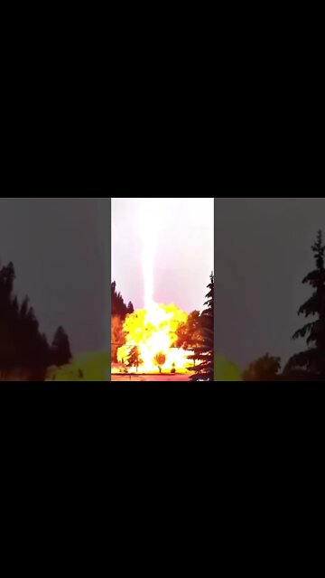 Lightning Strikes Tree & Explodes