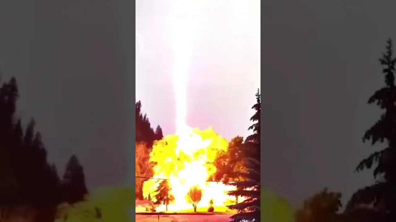 Lightning Strikes Tree & Explodes