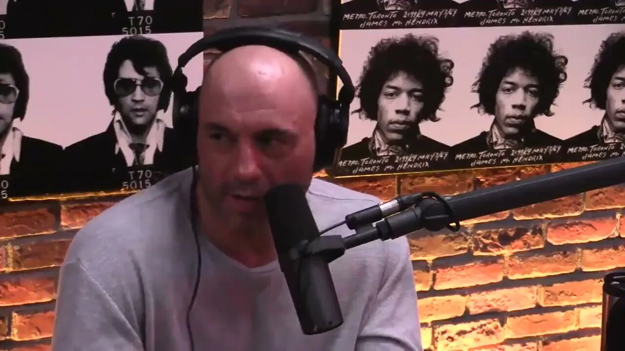 Wake up Joe Rogan