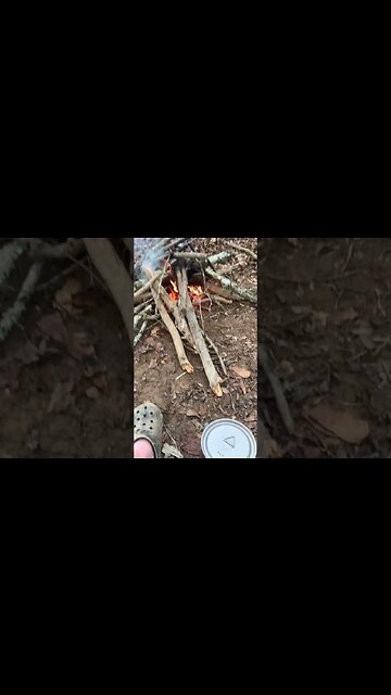 On another adventure!#shorts