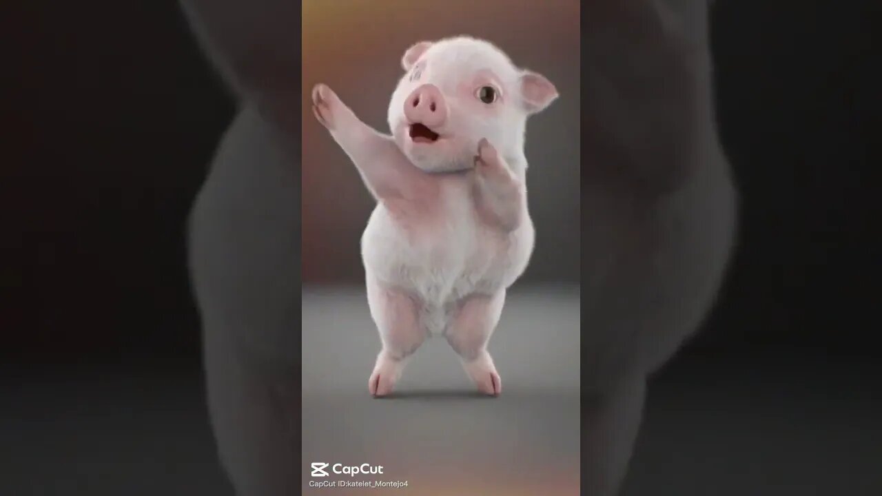 pig dancing