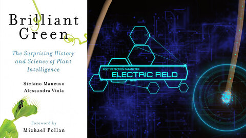 Plant Intelligence: The Root of Understanding