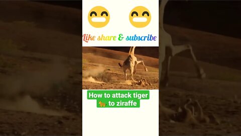 how to attack tiger to ziraffe © #shorts #youtubeshorts