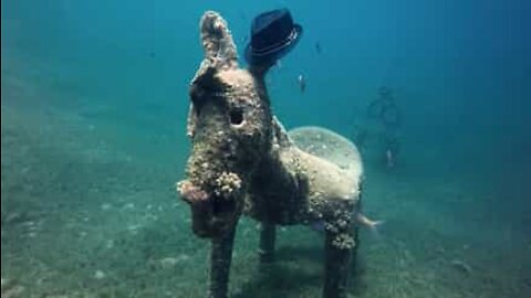 Une statue d'âne découverte au fond de la Mer Rouge