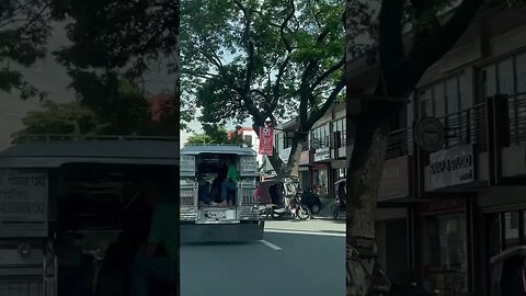 Jeepney Close Up View #shorts #travel