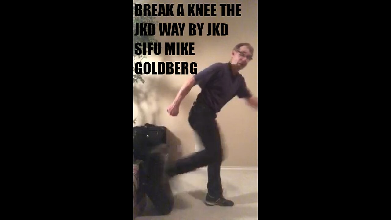 JKD REAR KICK BY JKD SIFU MIKE GOLDBERG