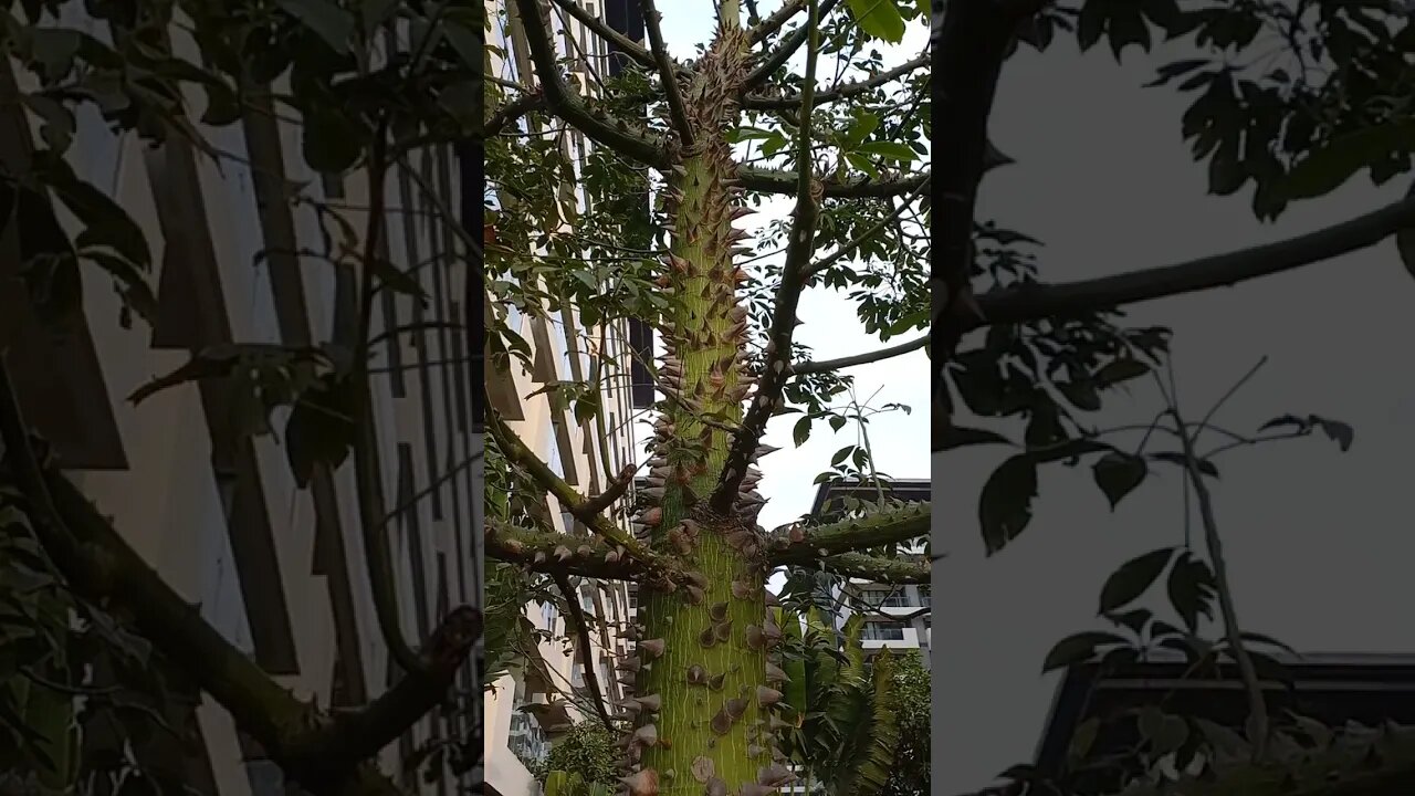 제발 꼭 안아줘요!!! Please, give me a hug.