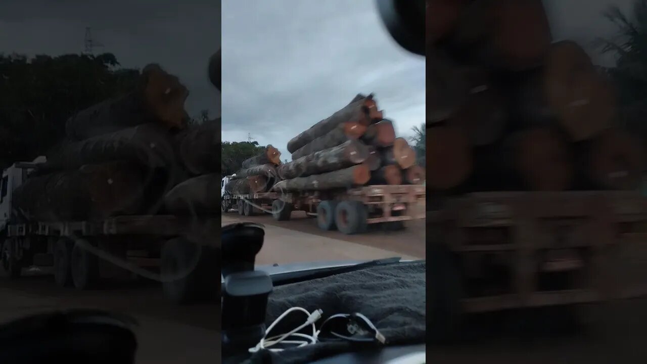 #wood #brazil #amazon #fun