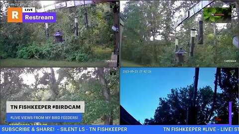 TN FISHKEEPER #BIRDCAM