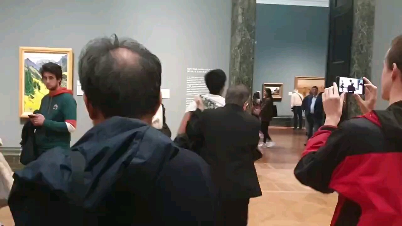 How does throwing paint at a 25 Million Dollar Picaso help Palestinians? No limit to the stupidity!