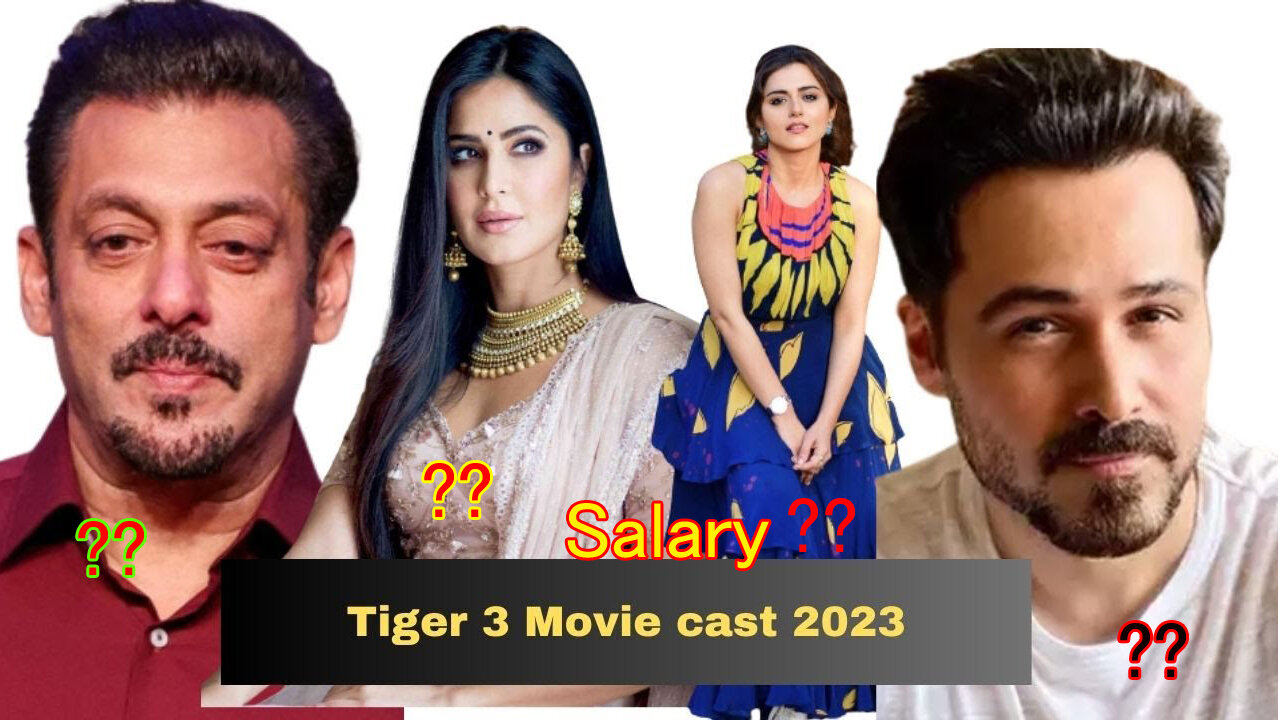 Tiger 3 Movie cast salary