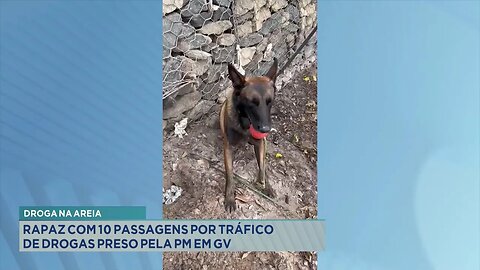 Droga na areia: Rapaz com 10 passagens por tráfico de drogas preso pela PM em GV.