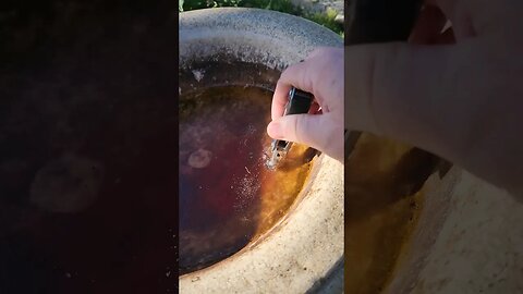 Cold Autumn Morning, Frozen Bird Bath