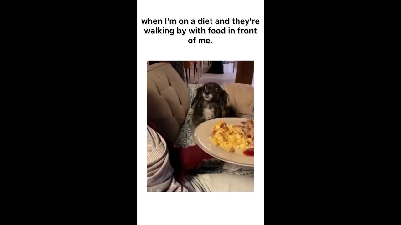 WHEN I'M ON A DIET.