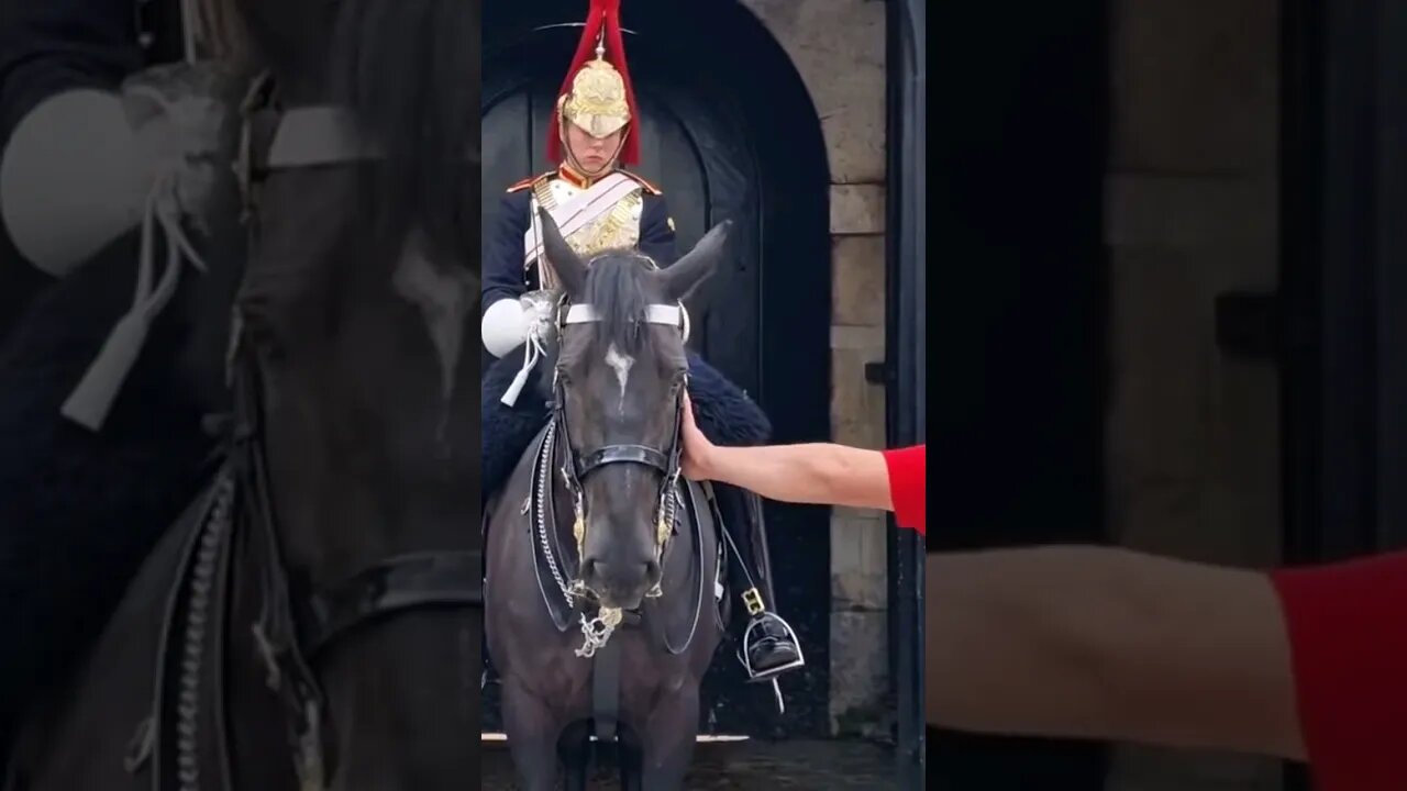 Don't touch #horseguardsparade