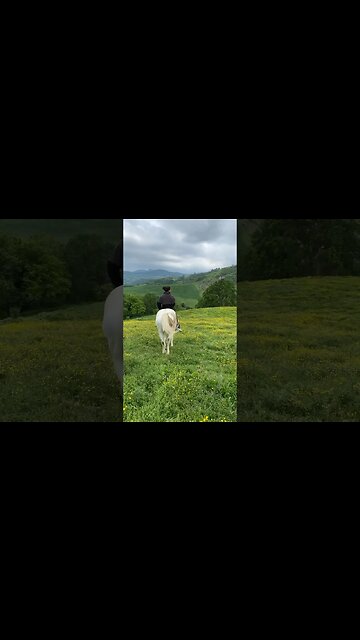 #horseshort #soundhealing #mothernaturesbeauty