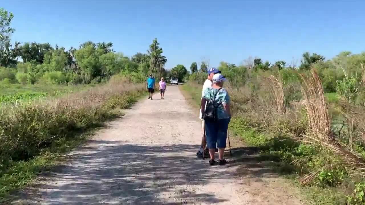 Walking Club: Exploring Circle B Bar Reserve