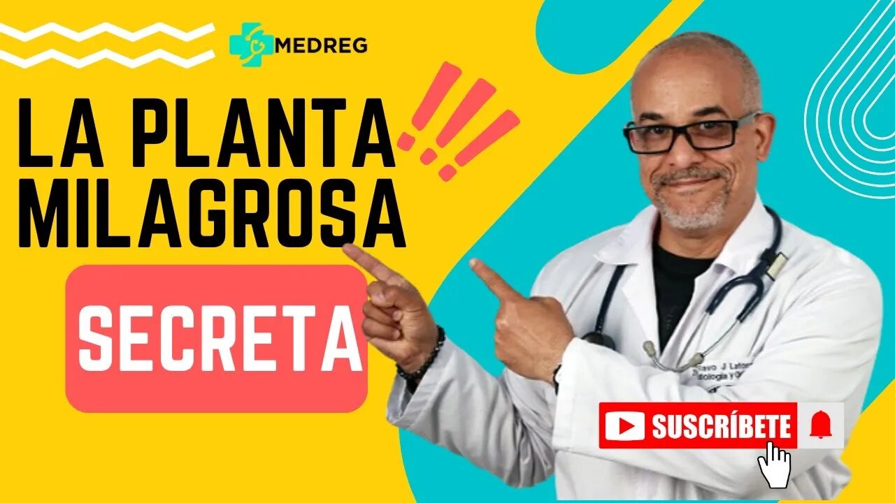 "Increíble Planta: Combate la Inflamación y mucho más"