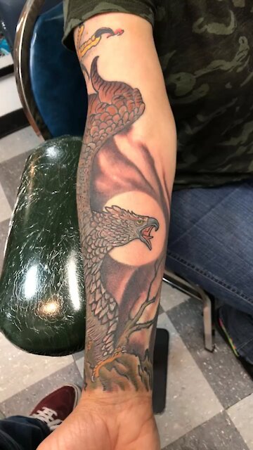 America The Great Golden Eagle