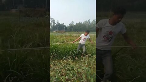 বিদ্যুতের পোল স্থাপন## খুটি স্থাপন